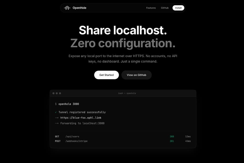 OpenHole — Developer Tool